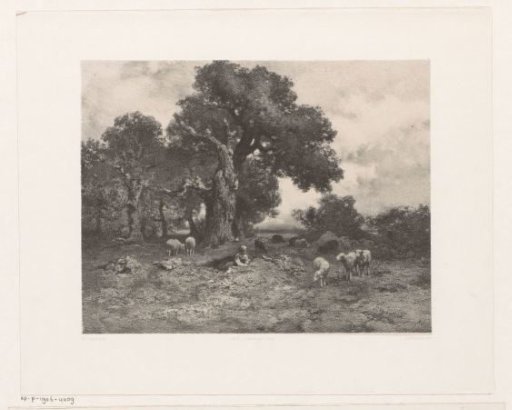 Landscape with Sheep