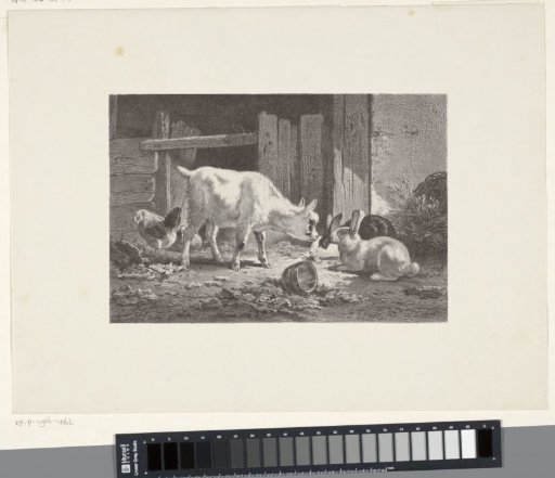 Goat with two rabbits and a hen