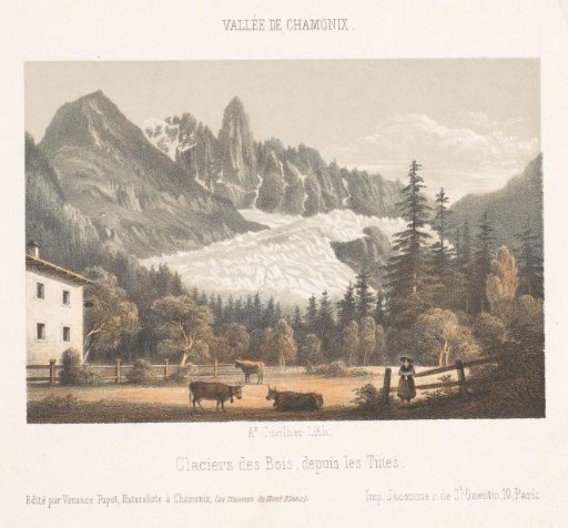 View of Chamonix and Mont Blanc from the north