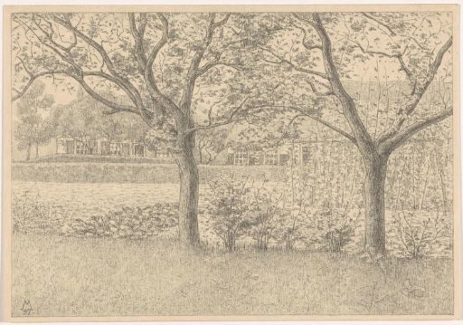 Garden with trees and pole beans