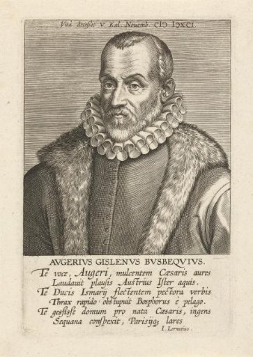 Portrait of Ogier Ghislain de Busbecq