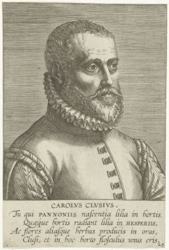 Portrait of Carolus Clusius