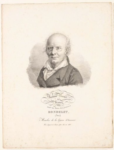 Portrait of the architect Jean Rondelet