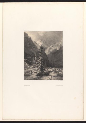 Mountain landscape with conifers and a stream