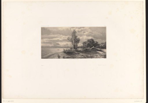 Mountain landscape with a tree on the shore of a lake