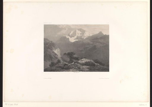Mountain landscape with shrubs and a precipice
