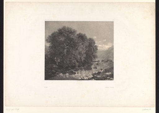 Mountain landscape with trees and a lake