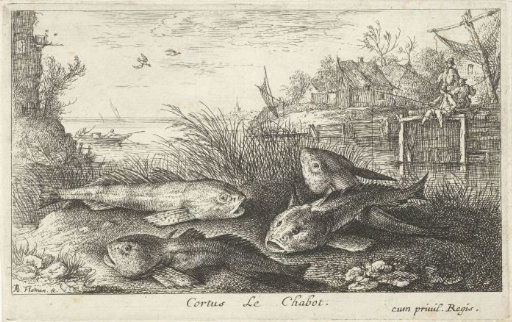 Four roach on a riverbank