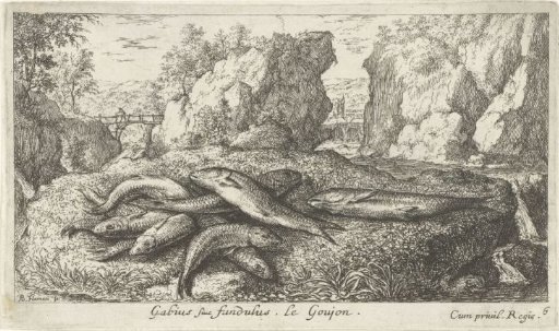 Bullheads on a riverbank