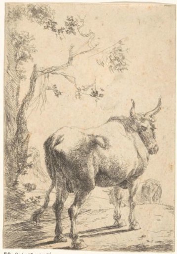 Bull with Two Cows