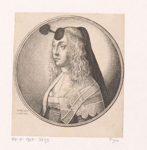Woman with transparent collar and houpette