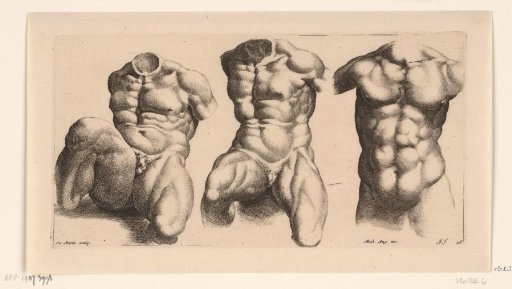 Three male torsos