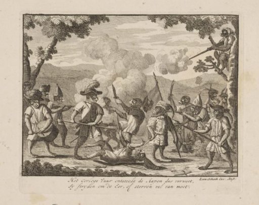 Monkeys at war