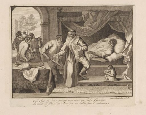 Monkey on his sickbed