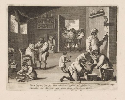 Monkeys and cats at a barber's