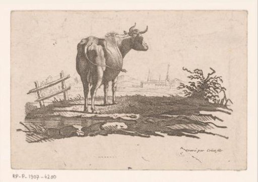 Standing cow in a meadow