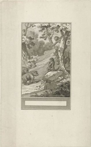 Monkeys and Bears