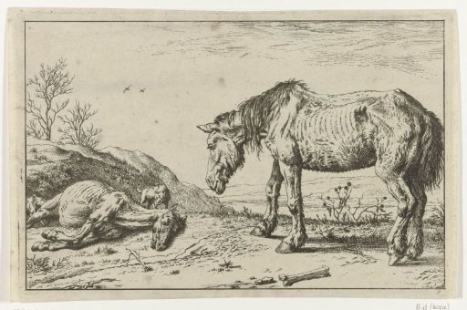 The Dying Horse