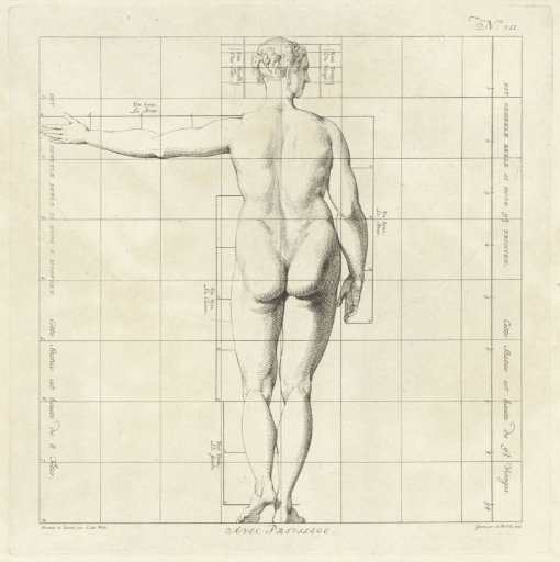 Proportion study of the body of a woman