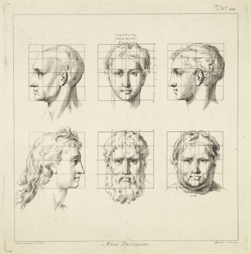 Proportion studies of men's heads