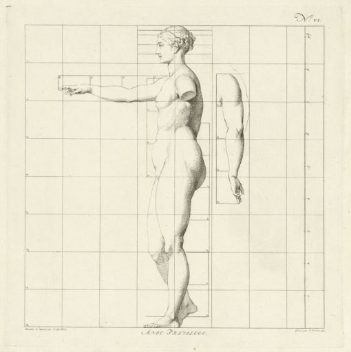 Proportion study of the body of a woman