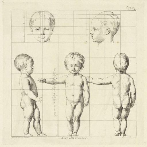 Proportion study of the body of a child