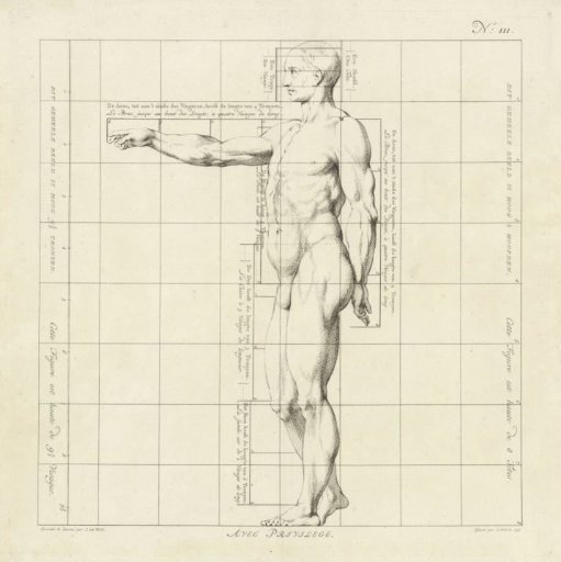 Proportion study of the body of a man