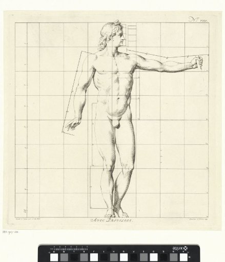 Proportion study of the body of the Apollo Belvedere
