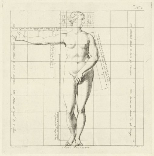 Proportion study of the body of a woman