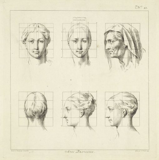 Proportion studies of women's heads