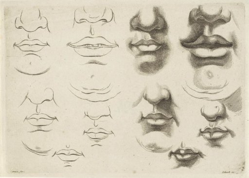 Study of various mouths