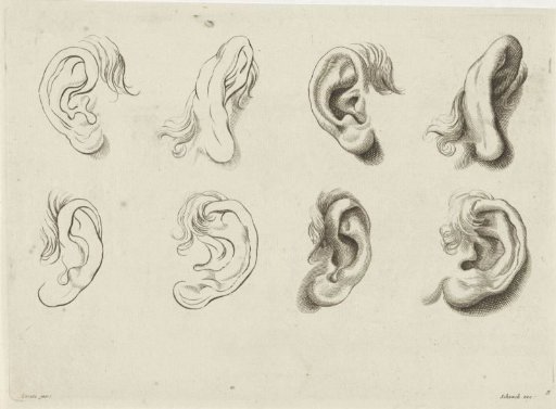 Study of various ears