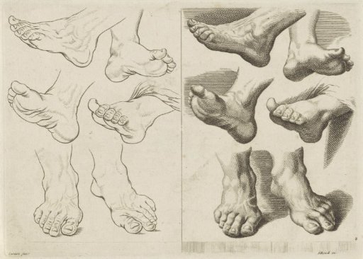 Study of various feet