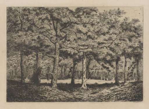 Woodland with a wood-gatherer