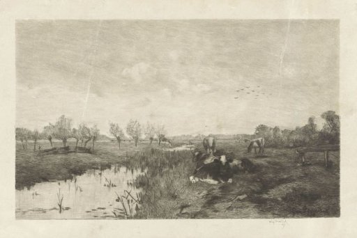 Polder landscape with cows