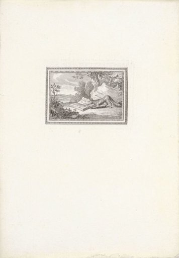Fox and a Book