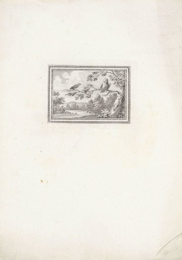 Owl and skylark