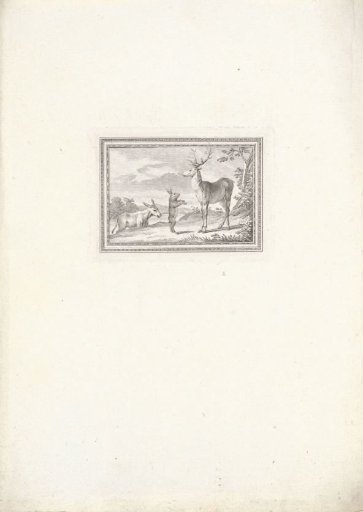 Stag, hare and donkey