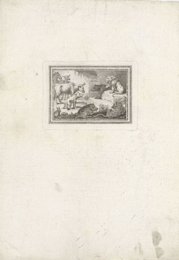 The lion as judge