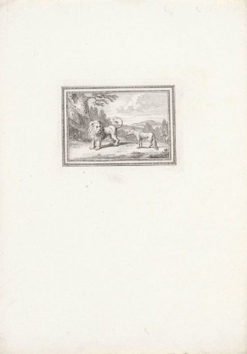 Lion and a fox