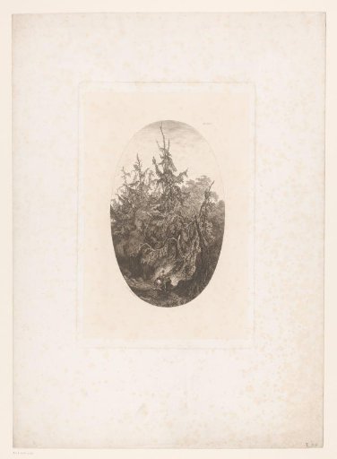 Forest landscape with travellers