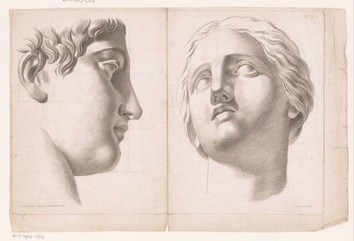 Male and Female Head