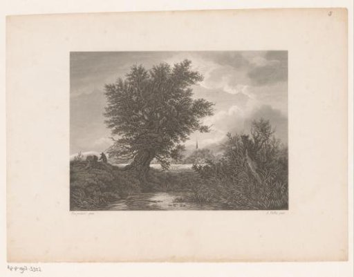 Landscape with a tree at the water's edge