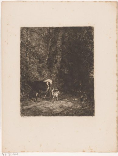 Shepherd and his cattle on a forest path