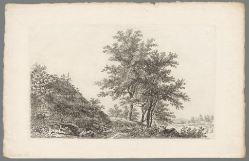 Study of a group of trees by a path winding around a hill