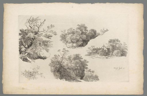 Studies of branches, vegetation and a farm