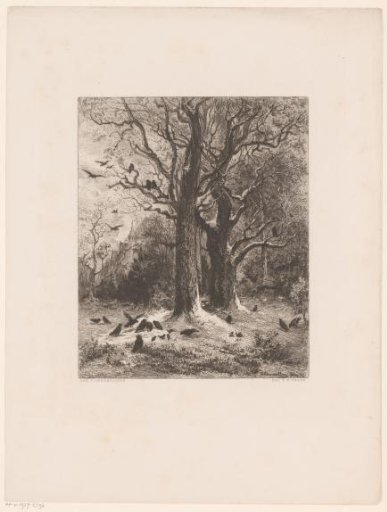 Snowy Landscape with Birds