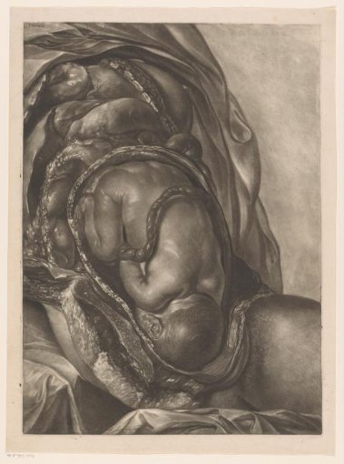 Anatomy of a woman with an unborn baby in the womb