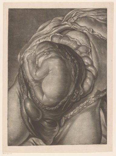 Anatomy of a woman with an unborn baby in breech position in the womb