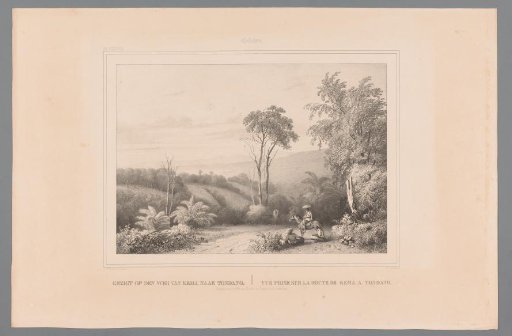 View of a rolling landscape with a country road in Indonesia